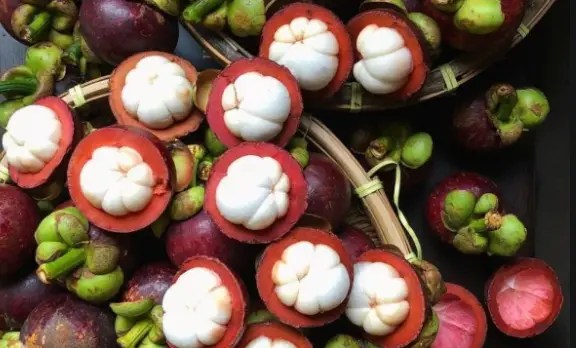 Penandaan kosmetik setiap kosmetik … Jasa Kirim Buah Ke Luar Negeri Paling Aman Jasa Export Terpercaya