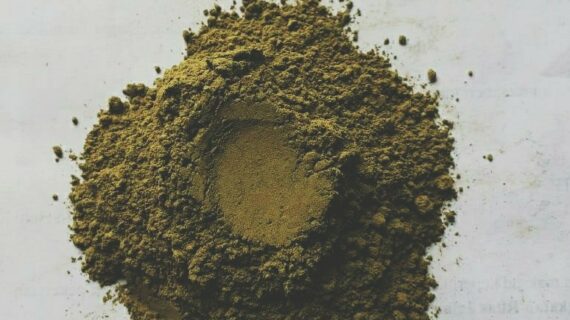 Harga Kratom