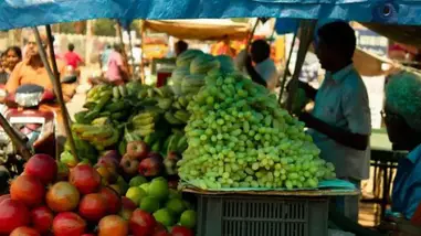 Pengertian Pasar Oligopsoni Ciri Ciri Dan Contohnya Jasa Export Terpercaya