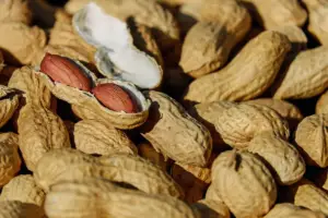 Supplier Kacang Tanah Indonesia Termurah Kualitas Terbaik